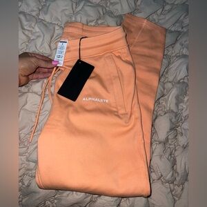 NWT ALPHALETE JOGGERS